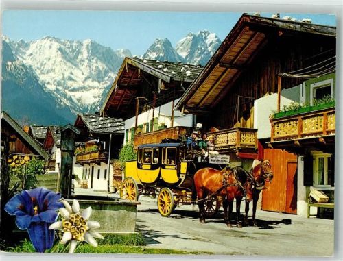 Garmisch-Partenkirchen Frühlingstraße m. Höllentalspitzen u. Zugspitze Enzian Edelweiß