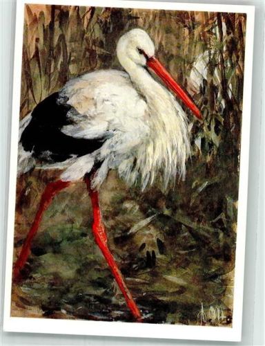 sign. Menzel Adolph : Storch im Schilf Bruckmann Bildkarte Nr. 355