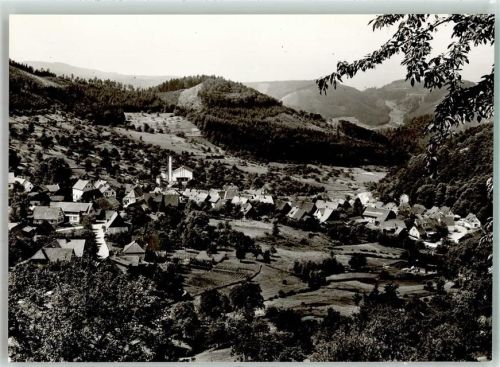 76593 W7562 Lautenbach , Murgtal Foto AK