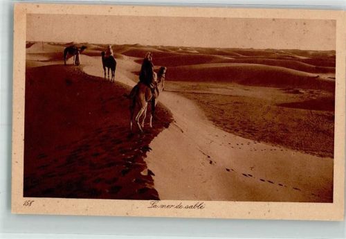 Nr. 158 Editeur Lehnert & Landrock Kamel La Mer de sable
