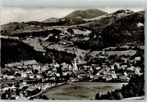 Schönau mit Kirche Mariä Himmelfahrt und Bergkirche Fotograf Bugmann