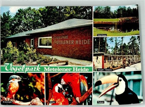 Metelen Vogelpark Metelener Heide