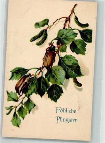 Birkenstrauch Pfingsten