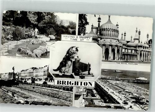 Brighton The Royal Pavilion Sunken Gardens Katzen