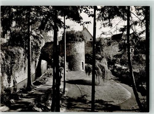 Tauberbischofsheim Alte Stadtmauer