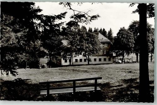 Zwieselberg Hotel Pension Hirsch VW Käfer
