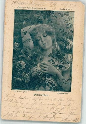 1900 sign. van Riest Märchen der Brüder Grimm Künstlerkarte Verlag Fritz Grandt No. 5