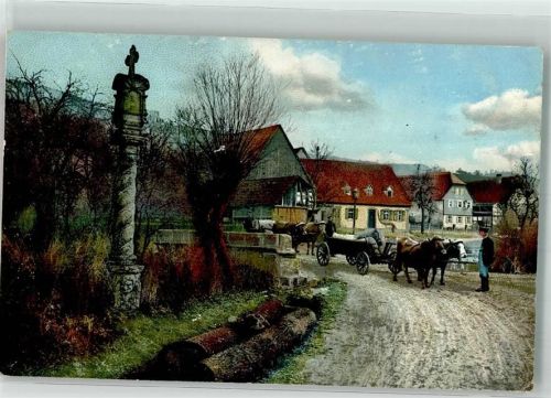 Photochromie 1899 Tiergespann 1911