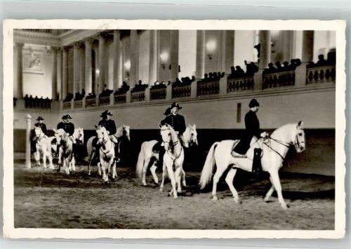 Wien 1957 Nr. 9240 Vorführung Quadrille