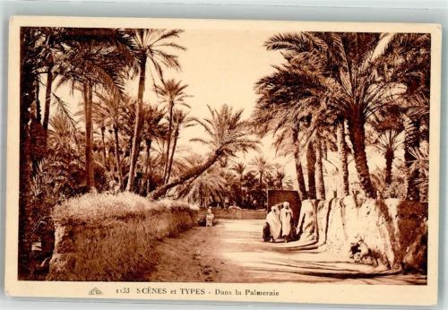 Nr. 1133 C.A.D. Scene et Types - Dans la Palmeraie