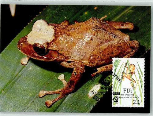Fidschi Baumfrosch Sondermarke