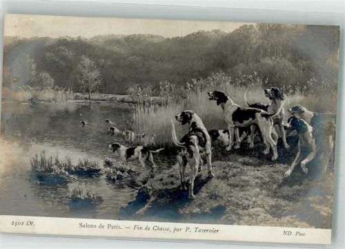 sign. Tavernier P. Jagdende Pointer S.P.A. 2502