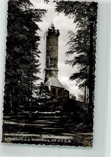 76848 W6741 Wilgartswiesen Foto AK Aussichtsturm Luitpoldturm Gasthaus