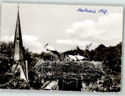 Bad Salzhausen Storchennest Nidda