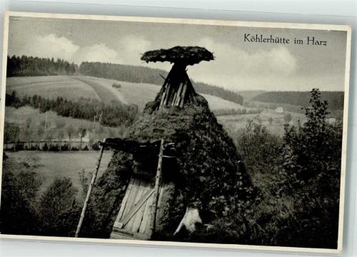 Hütte im Harz