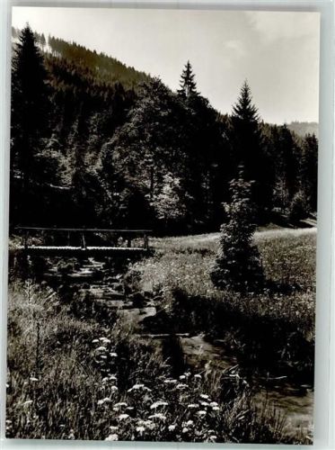 Obertal Am Weg zum Buhlbachsee