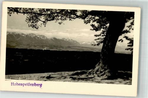Hohenpeißenberg Eine alte Eiche vor Alpenpanorama