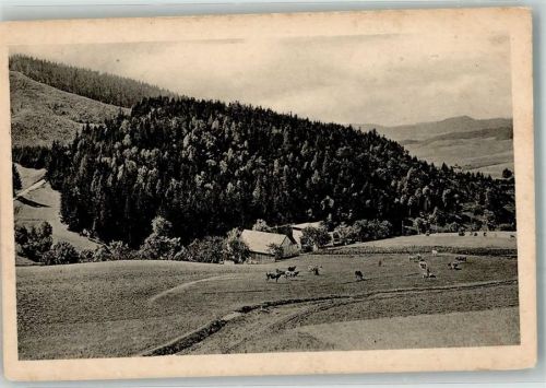 Görbersdorf i Schl 1920 Krankenhaus Sanatorium Spende