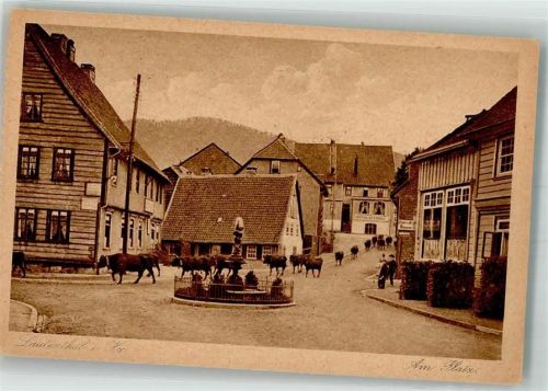 Lautenthal Am Platz Kuhherde