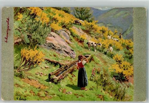 sign. Liebich, Curt Bauernmädchen in Tracht hütet eine Gruppe Bergziegen Serie II/163