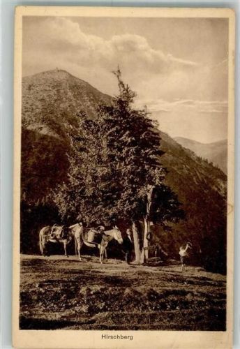 Kreuth Esel vor dem Hirschberg Fotograf Otto Rupflin Hüttenstempel