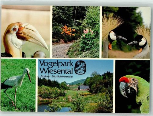 Steinen Vogelpark Wiesental Störche Papagei Reiher