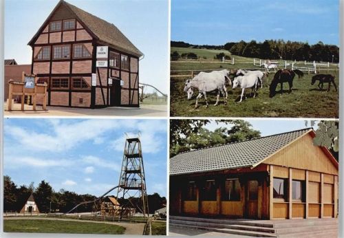 Dwergte Ponyhof, Pferd