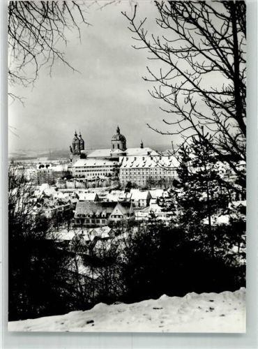 Weingarten mit Basilika St. Martin