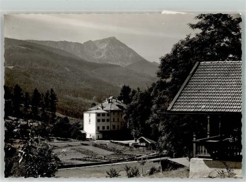 Alzing Kurheim Genesungsheim mit Hochgern Foto Original aus Archiv eines Ansichtskartenverlags Ort handschriftlich