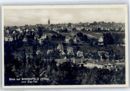 Birkenfeld Gesamtansicht