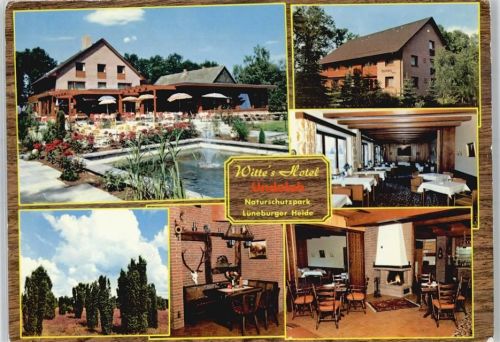 Undeloh Gasthaus, Pension Witte´s Hotel, Heidelandschaft