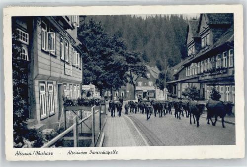 Altenau Damenkapelle, Kuh