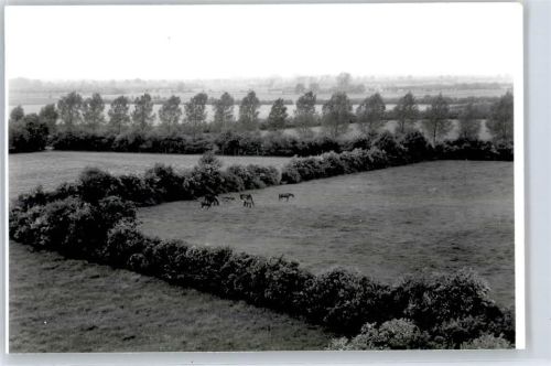 Thedinghausen Fotoabzug, Blick in die Landschaft