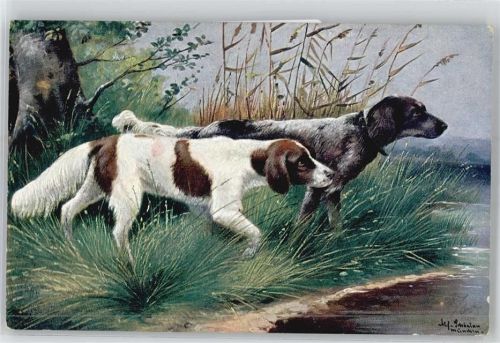 Jagdhunde