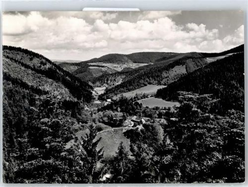 Schramberg Ortsansicht, Blick von der Burgruine Schilteck ins Schiltachtal