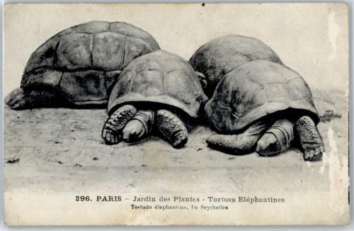 Paris Zoo