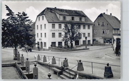 Beerfelden Gasthof, Pension Zur Mümlingquelle