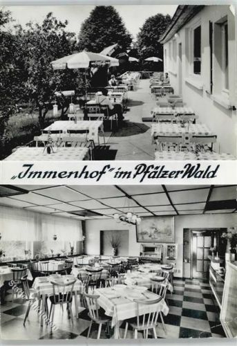 Trippstadt 1967 Cafe Pension Immenhof Terasse
