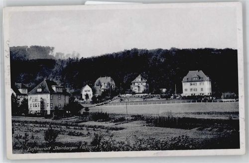 Steinbergen Totalansicht