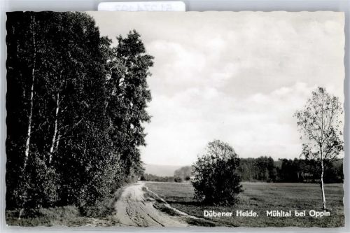 Bad Düben Dübener Heide Naturpark Mühltal