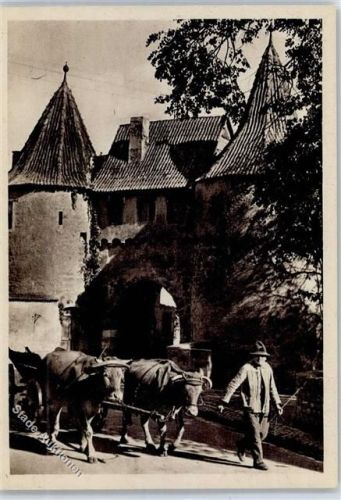 97357 W8718 Prichsenstadt - Stadttor, Kuh