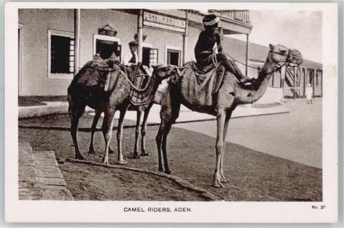 Camel Riders