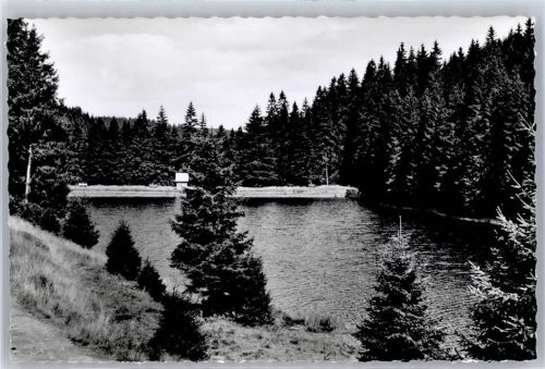 Altenau Hüttenteich