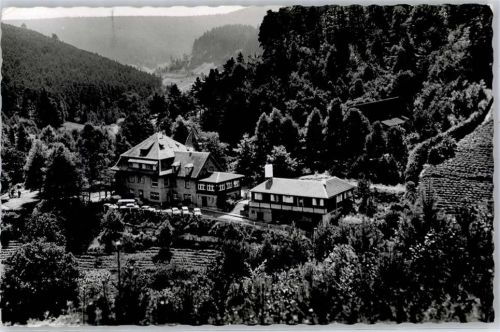67471 W6738 Harzofen - Naturfreundehaus Elmstein
