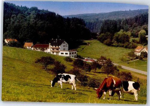 Grasellenbach Hotel Cafe Gassbachtal