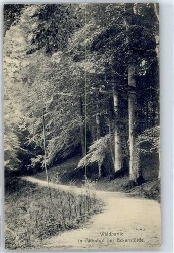 Eckernförde Waldpartie in Altenhof AKU1