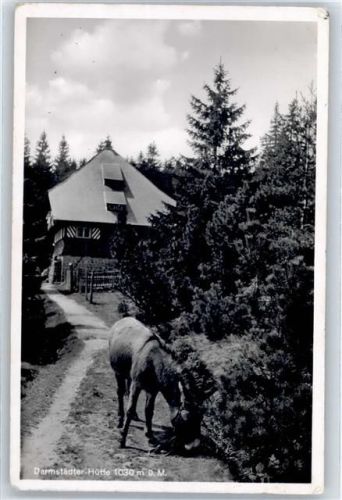 Ottenhöfen Darmstädter Hütte Esel