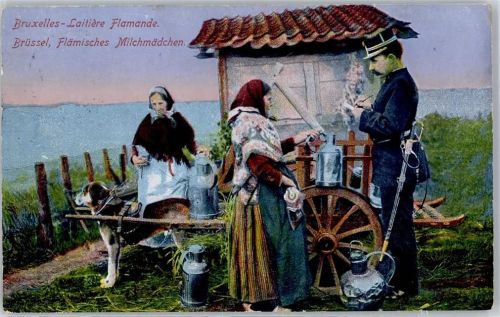 Flämisches Milchmädchen Hundekarren 1916 Künstlerkarte