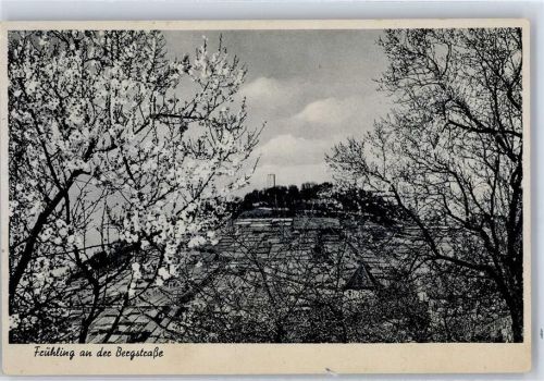Heppenheim Frühling