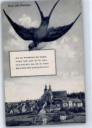 Walldürn 1920 Kirche Schwalbe